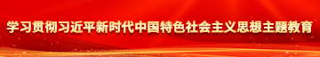 插插插网站学习贯彻习近平新时代中国特色社会主义思想主题教育