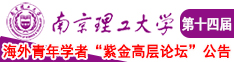 老骚比影视南京理工大学第十四届海外青年学者紫金论坛诚邀海内外英才！